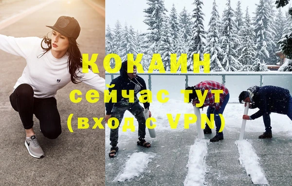 прущие крисы Бородино